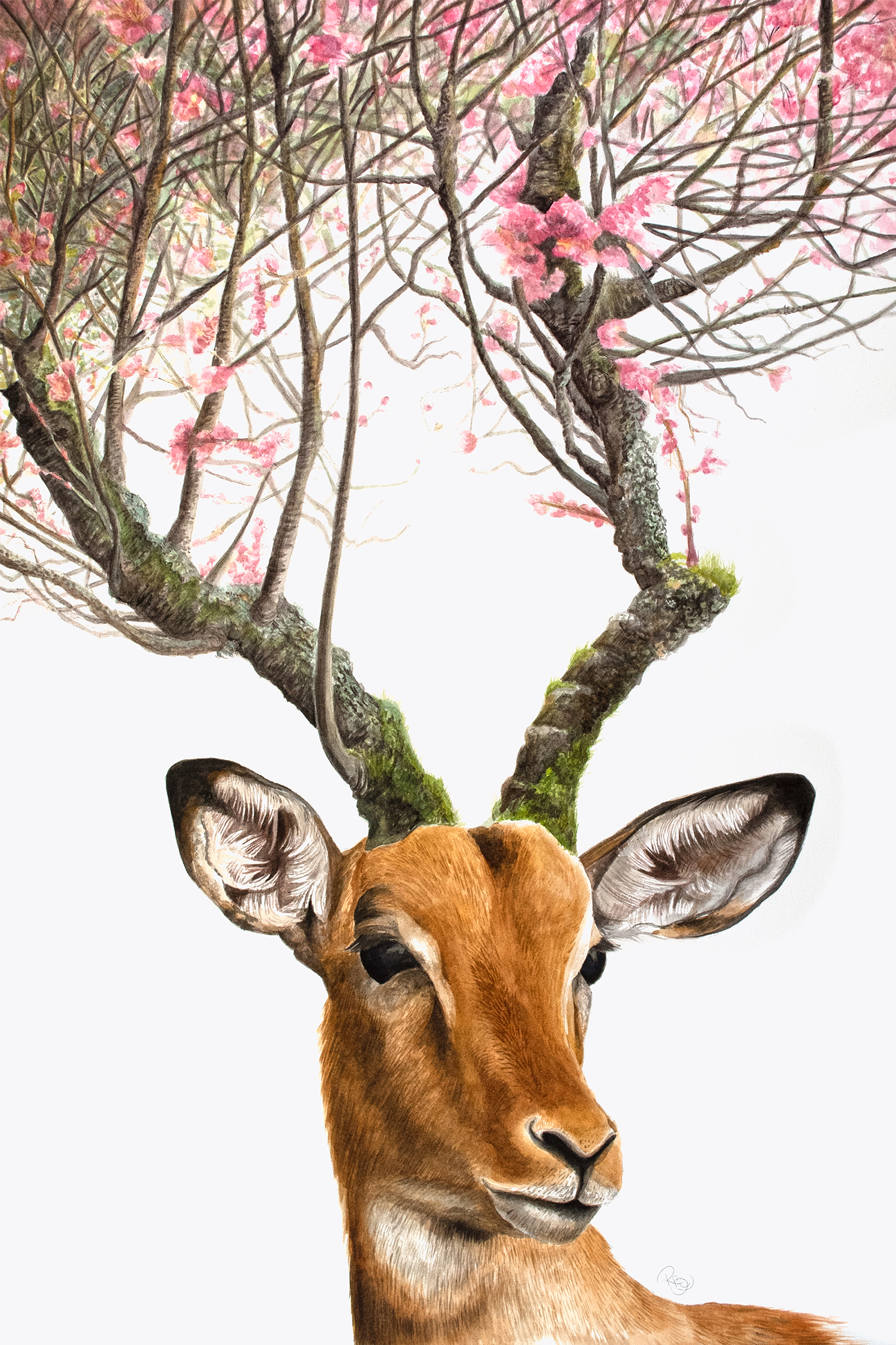 African antelope, impala, with horns made of tree bark covered in moss turning into cherry tree branches on which pink cherry blossoms are blooming