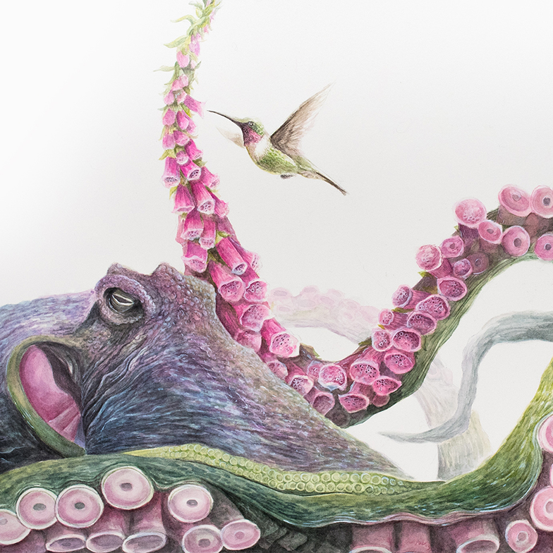 A purple pink and green octopus with one of its tentacles curving over onto itself changing into foxglove flowers A hummingbird hovers near the flower buds.