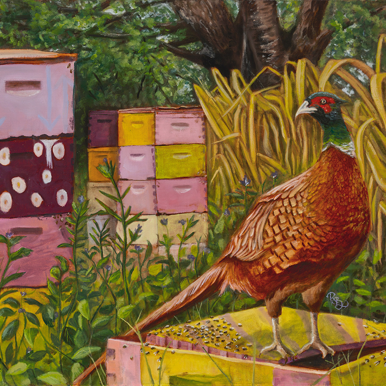 A pheasant stands on top of a pink and yellow painted apiary box covered in bees. In the background stacks of colorfully painted are stacked 3 to 4 high with various patterns. The boxes are surround by Hawaiian native plants.